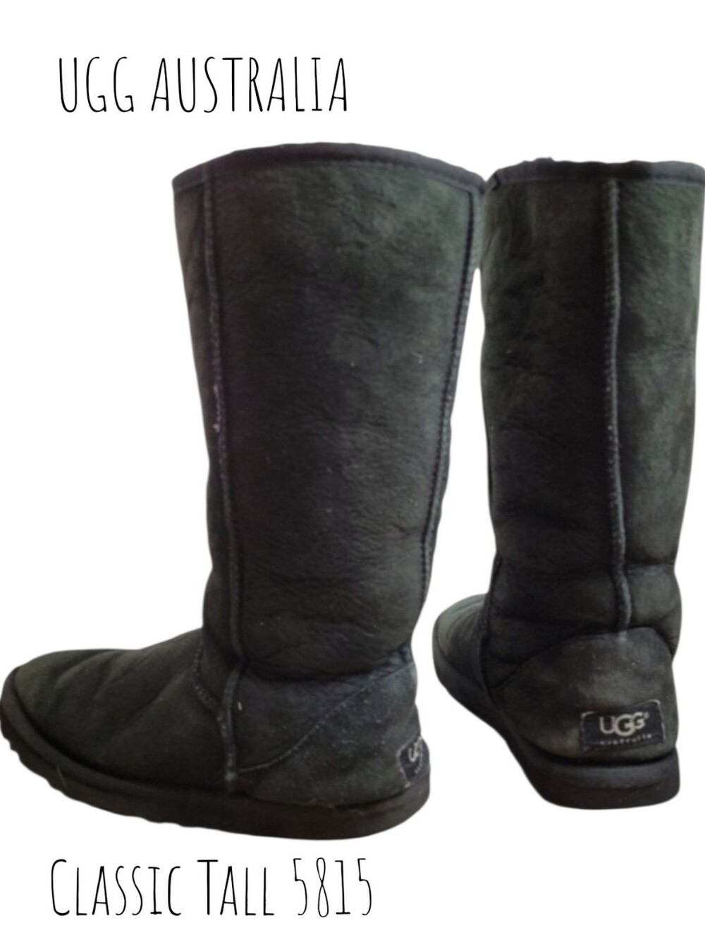 UGG AUSTRALIA Women's Classic Tall 5815 boots Black suede & Dye Sherling wool 6